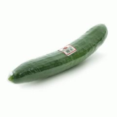 Seedless Cucumber